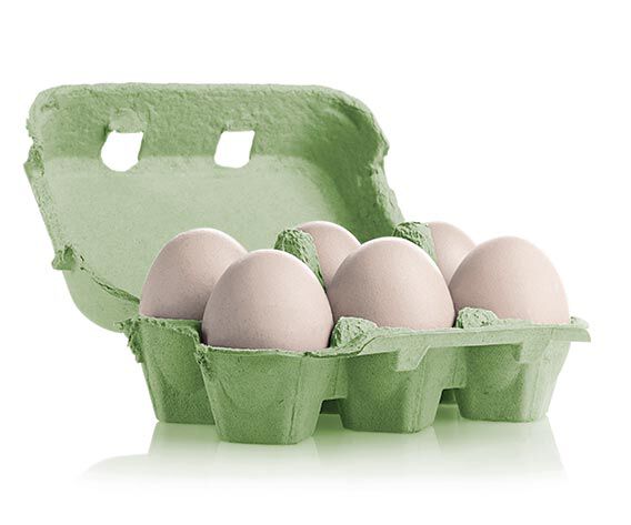 confezione uova fresche da 6